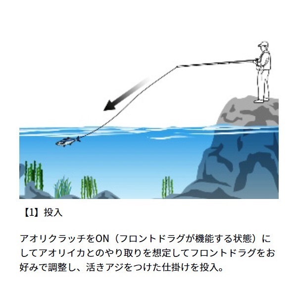 アオリトライアル BR